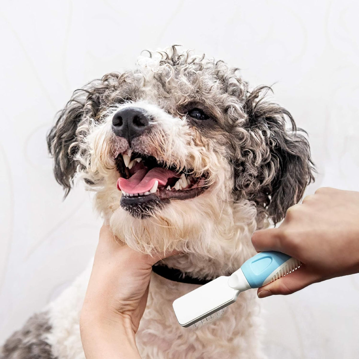 Side view of the blue Pets First grooming tool highlighting the precise hair trapping teeth mechanism