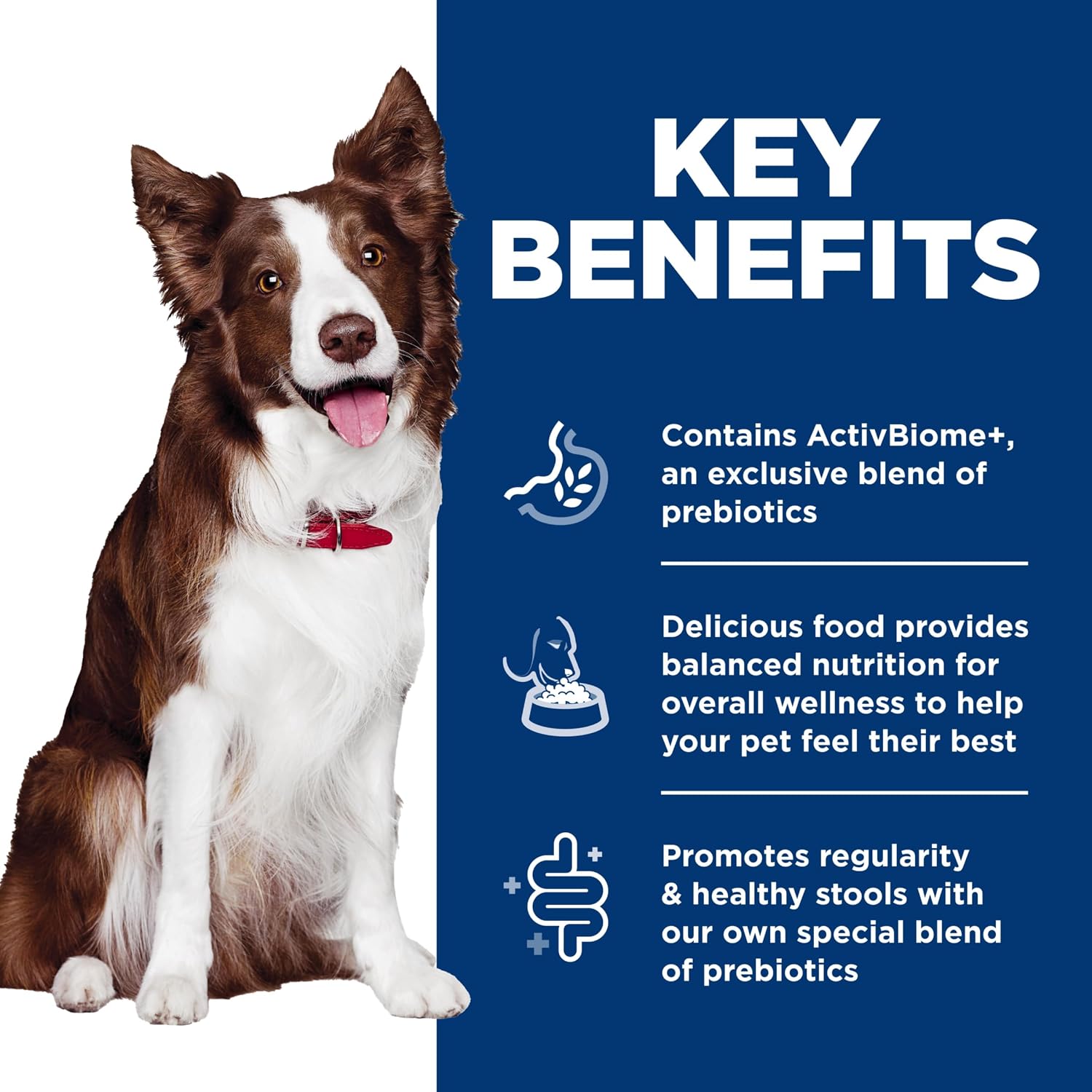Authentic USA imported Hill's Science Diet wet dog food cans