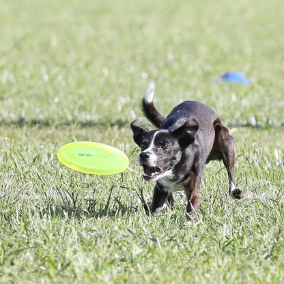 Small dog catching Hyperflite Pup Jawz disc in field
