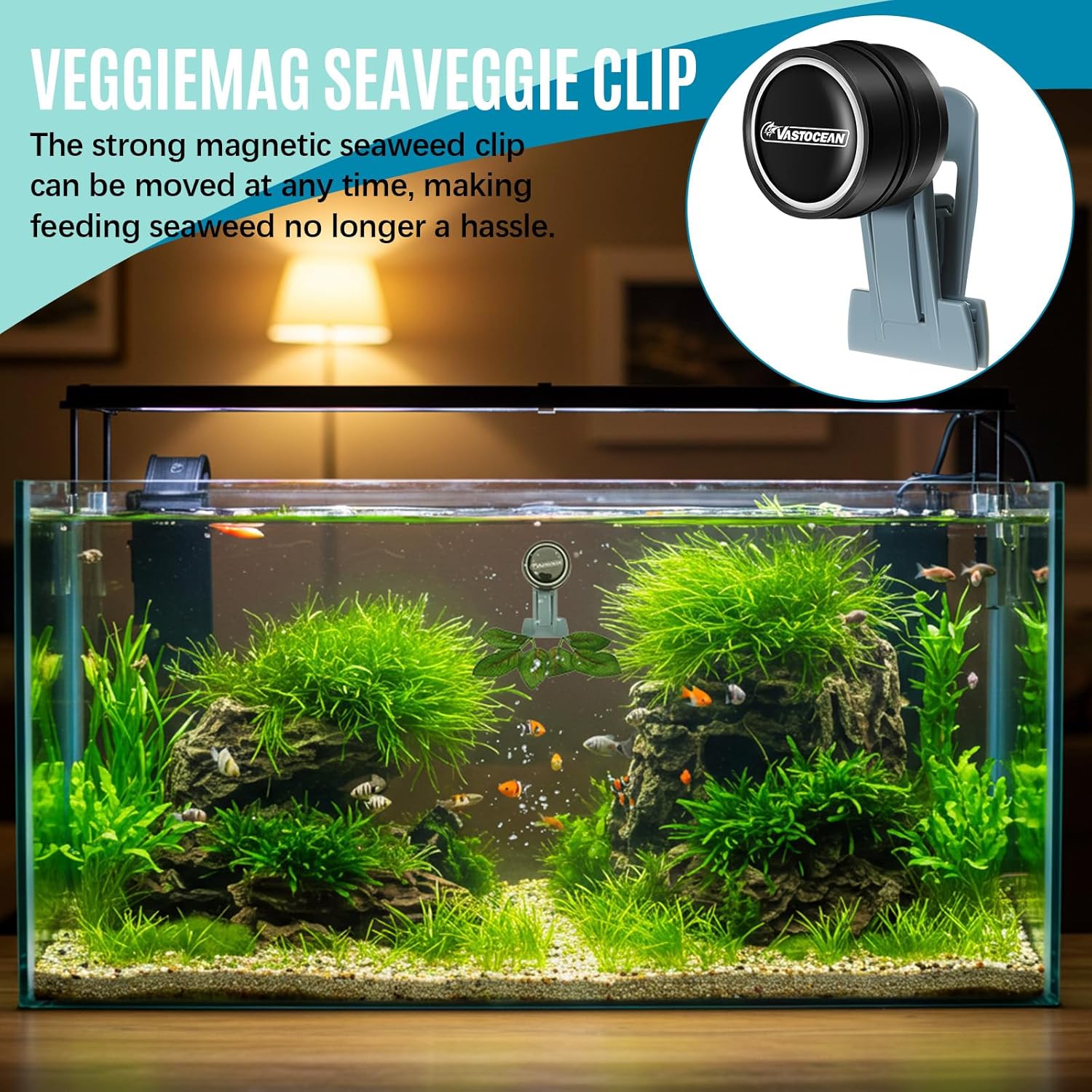 Aquarium automatic fish feeder alternative magnetic veggie clip side view