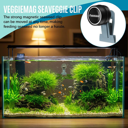 Aquarium automatic fish feeder alternative magnetic veggie clip side view