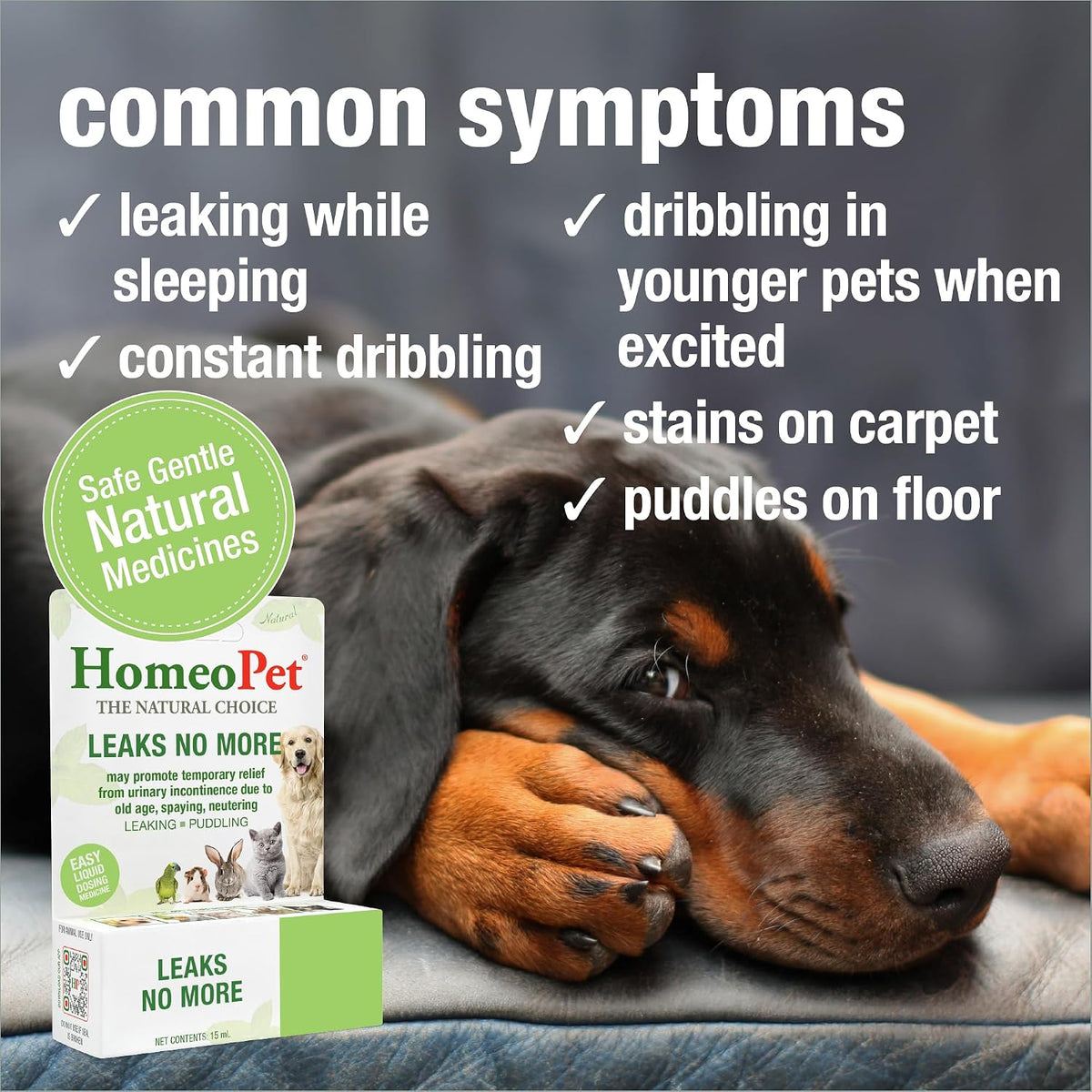 HomeoPet Leaks No More packaging showing dosage instructions