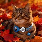 Taghelp safety cat collar showing high visibility reflective striping in low light.