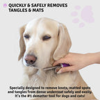 Poodlie pet grooming bundle displayed for dogs and cats
