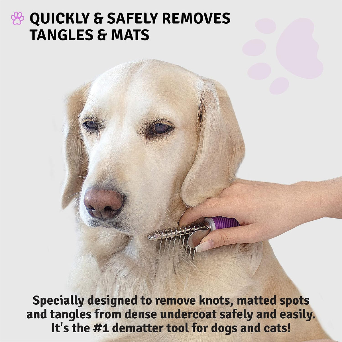 Poodlie pet grooming bundle displayed for dogs and cats