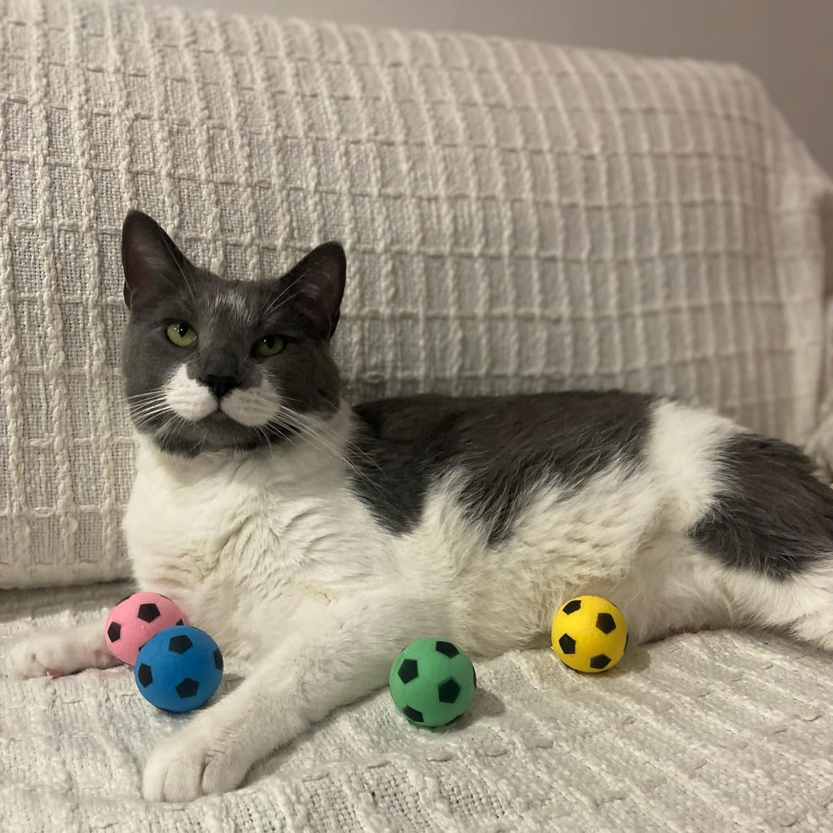 SPOT Sponge Soccer Ball Cat Toys for Cats and Kittens - Interactive and Colorful Plush Toy, Fun to Bat and Chase, Keep Cats Entertained - 1.5" Assorted 4-Pack - Image 10