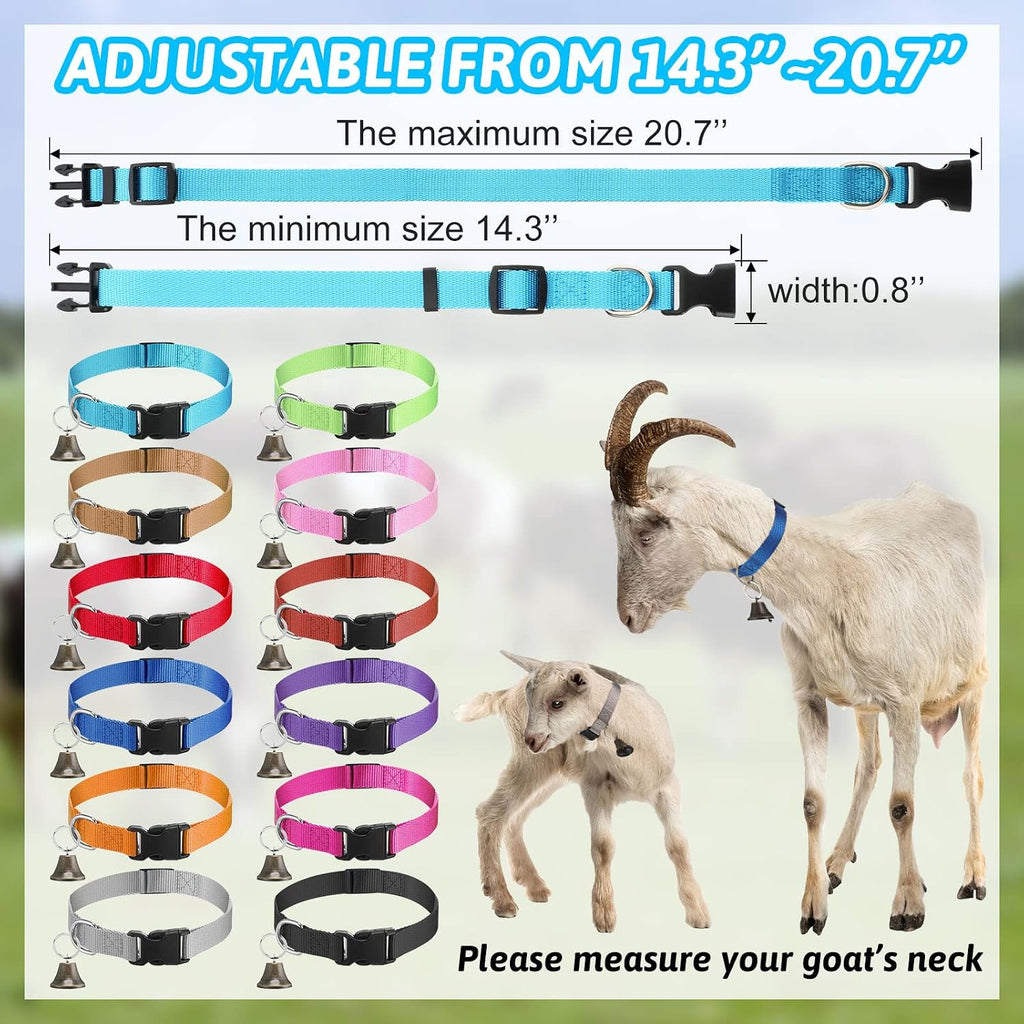 Close up of the Jexine livestock collar quick-release safety buckle and durable hardware.