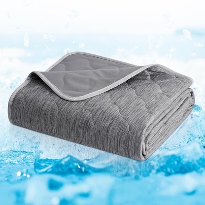 Inside view highlighting the integrated leakproof liner of the Cozy Bliss pet blanket.