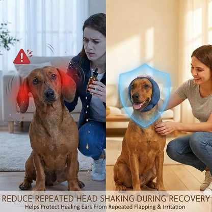 HOFI canine aural hematoma recovery wrap grey small breed sizing