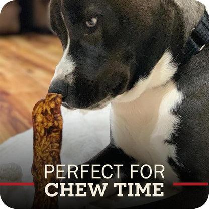 Grain free bully gravy coated long lasting dog treat back label
