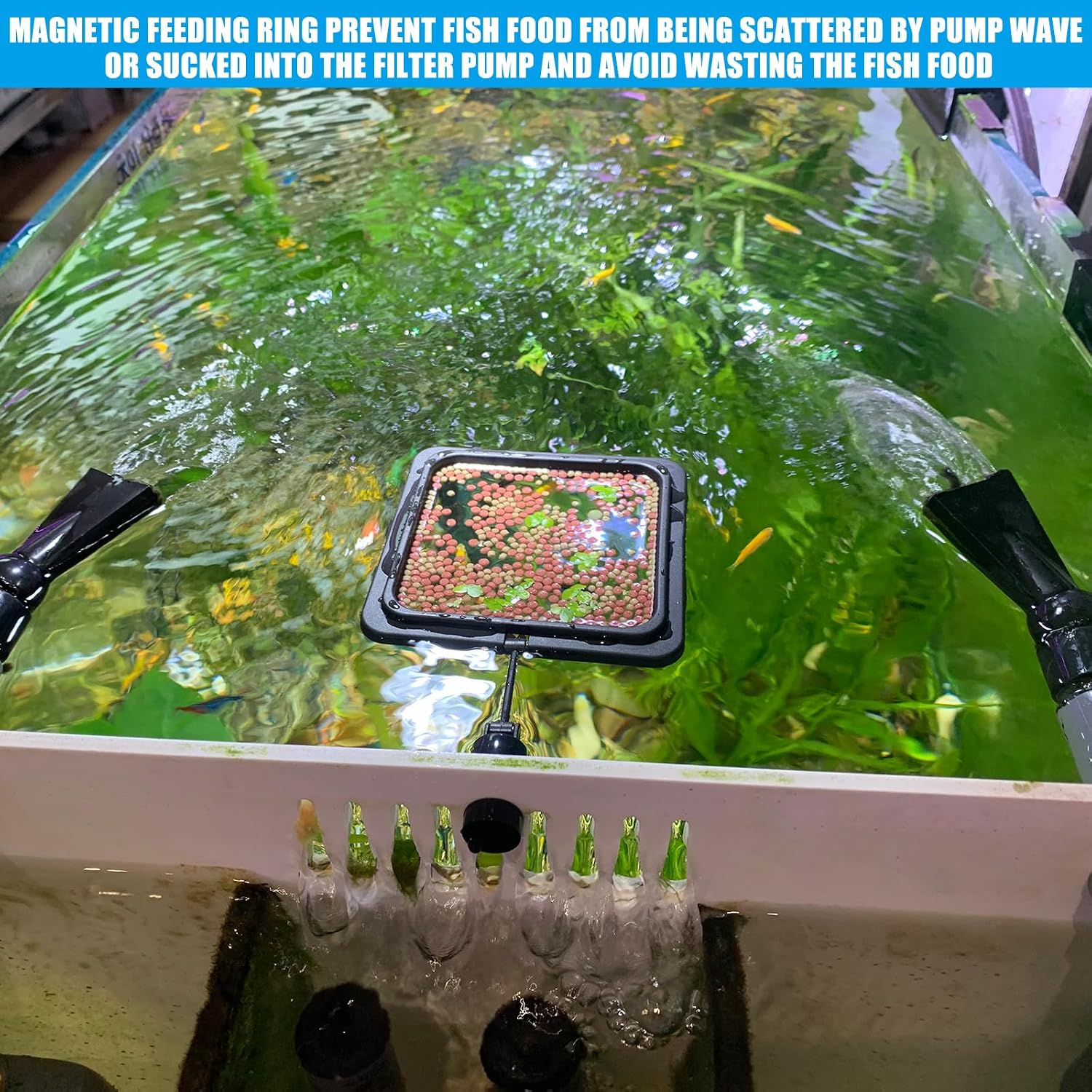 Square premium fish feeder attached to algae resistant tank wall