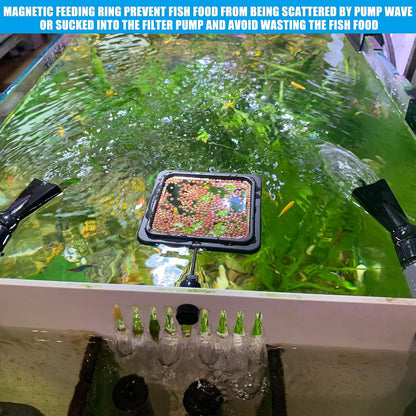 Square premium fish feeder attached to algae resistant tank wall