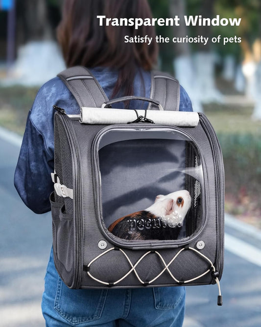 Pecute Small Pet Carrier, Breathable Bearded Dragon Carrier, with Transparent Bubble & Steel Frame, Safety Lock for Hamster, Rabbit, Guinea Pig, Parrot, Kitten, Puppy, Ideal for Travel/Vet Visits/Camp - Image 2