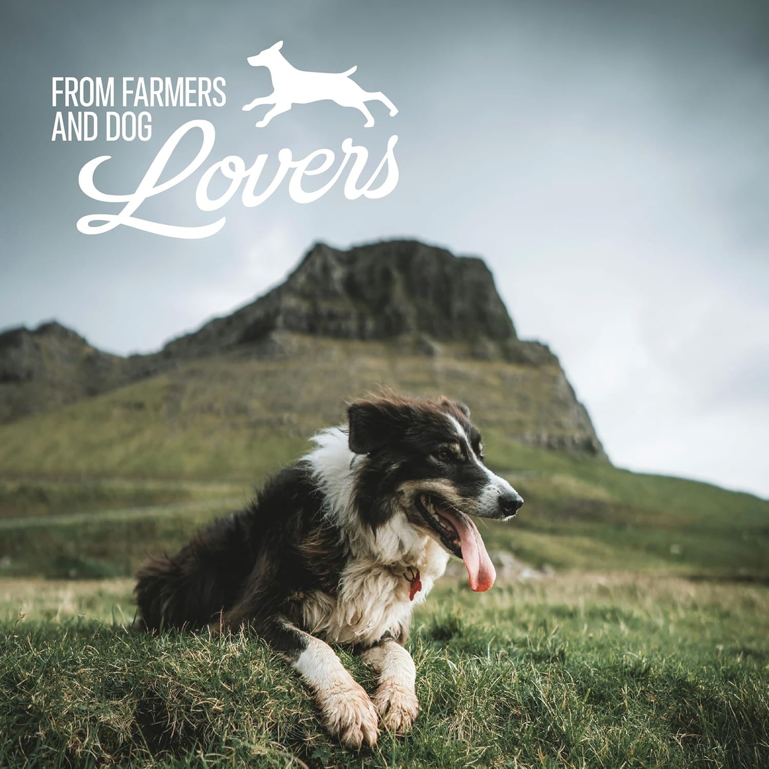 Grain free and gluten free lamb pizzle sticks packaging