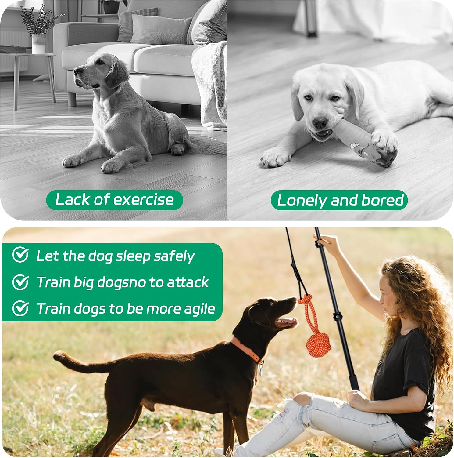 AmaCielo telescopic dog training wand fully extended to forty inches showcasing lightweight metal build.