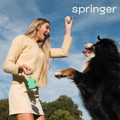 Lifestyle shot of Springer dog treat pouch in use during walk