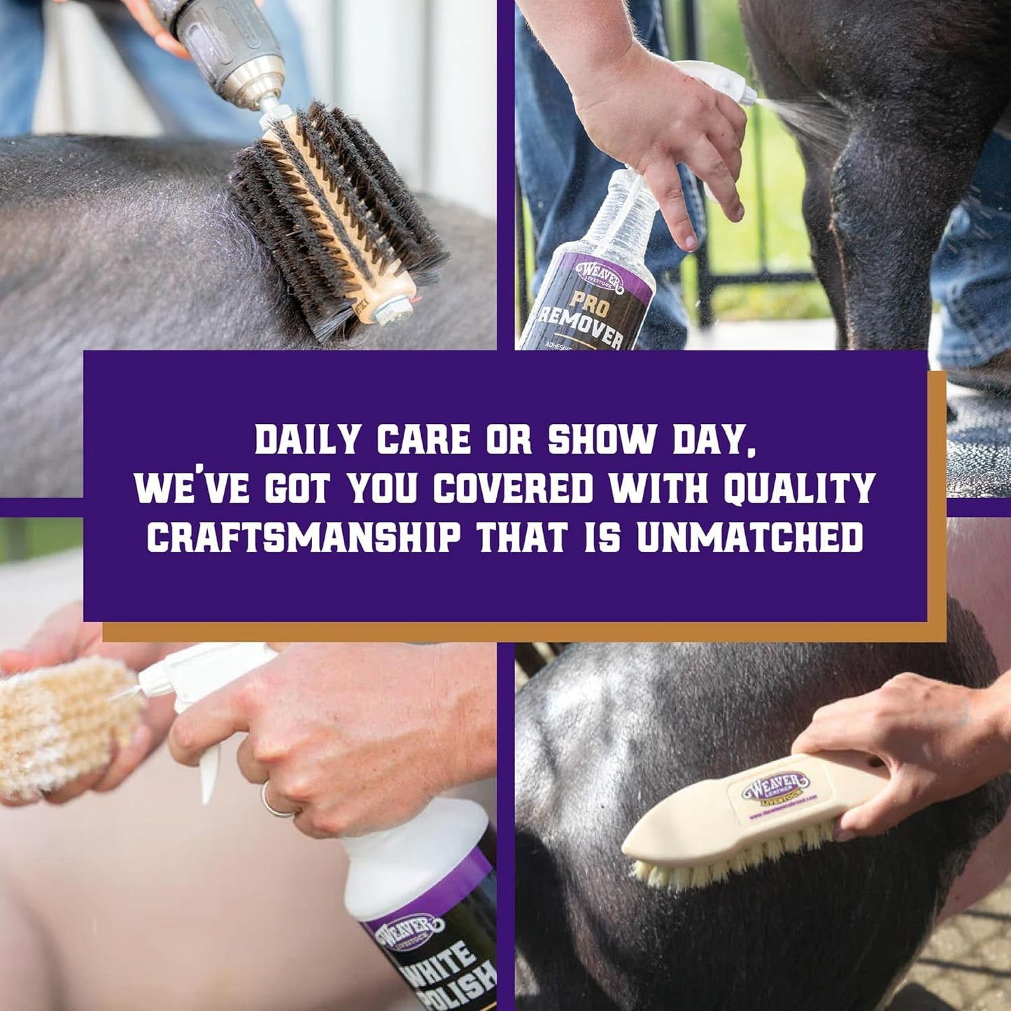 Weaver Livestock ProCharge premium imported animal conditioner for show day prep