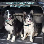 Detailed view of the 360 degree swivel clip on dog leash