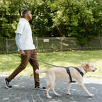 Premium bite resistant dog walking chain leash imported from United States for large breeds