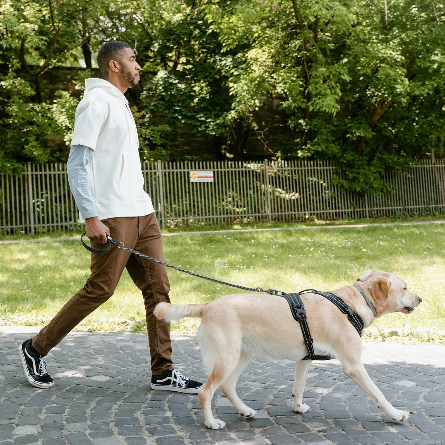 Premium bite resistant dog walking chain leash imported from United States for large breeds