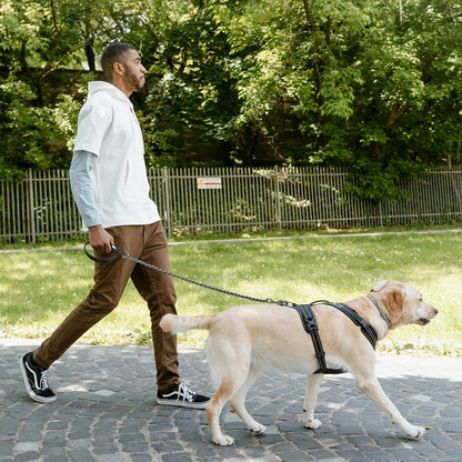 Premium bite resistant dog walking chain leash imported from United States for large breeds