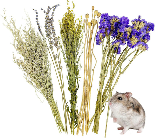 Fhiny Natural Hamster Bedding, Flower & Herb Hamster Bedding Mate Hamster Sprays Gerbil Habitat Decor Accessories for Dwarf Syrian Hamster Gerbil Mice Mouse Degus Lemming or Other Small Pets - Image 1