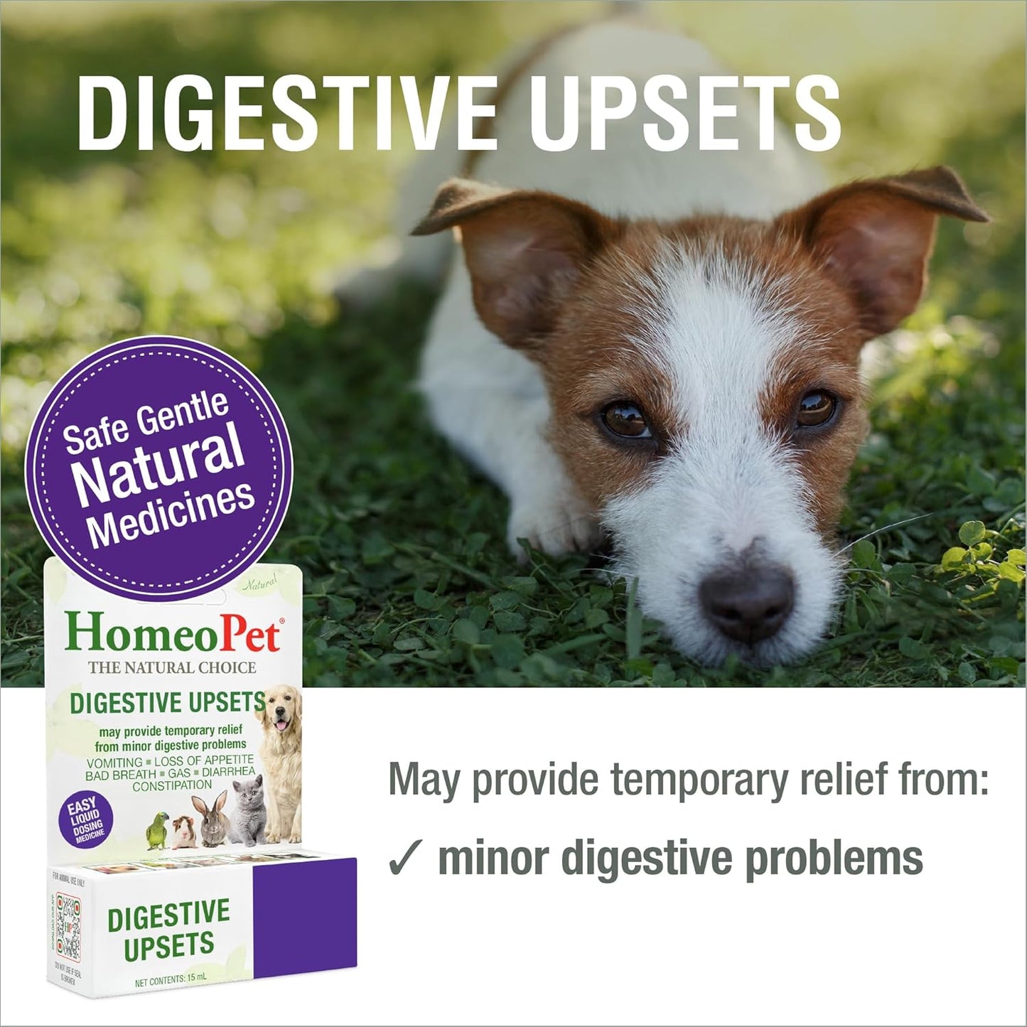 HomeoPet Digestive Upsets packaging details