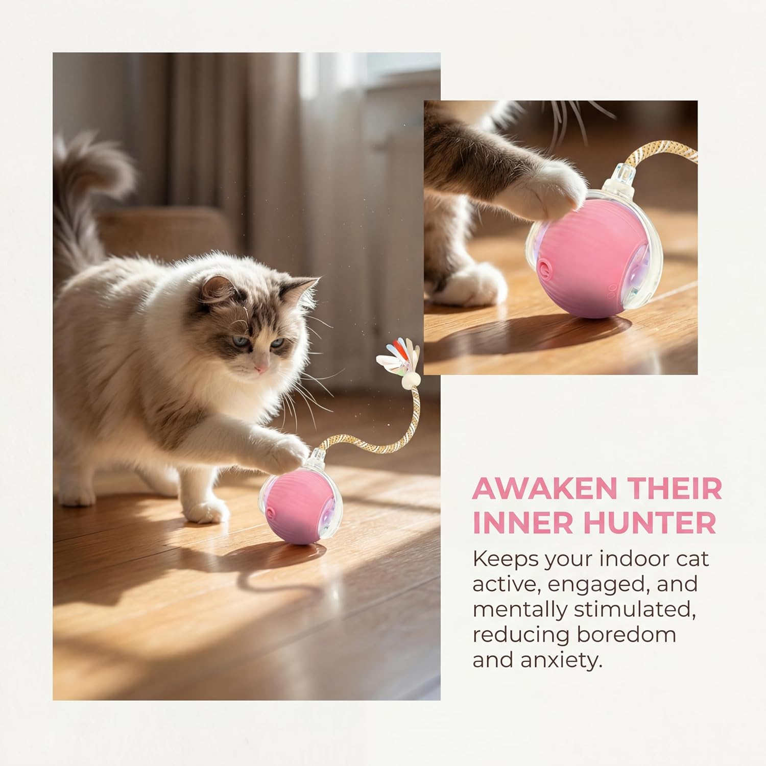 Egitew interactive pet toy for kittens and adult cats
