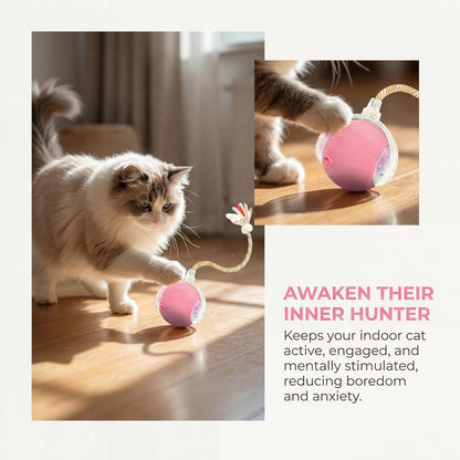 Egitew interactive pet toy for kittens and adult cats