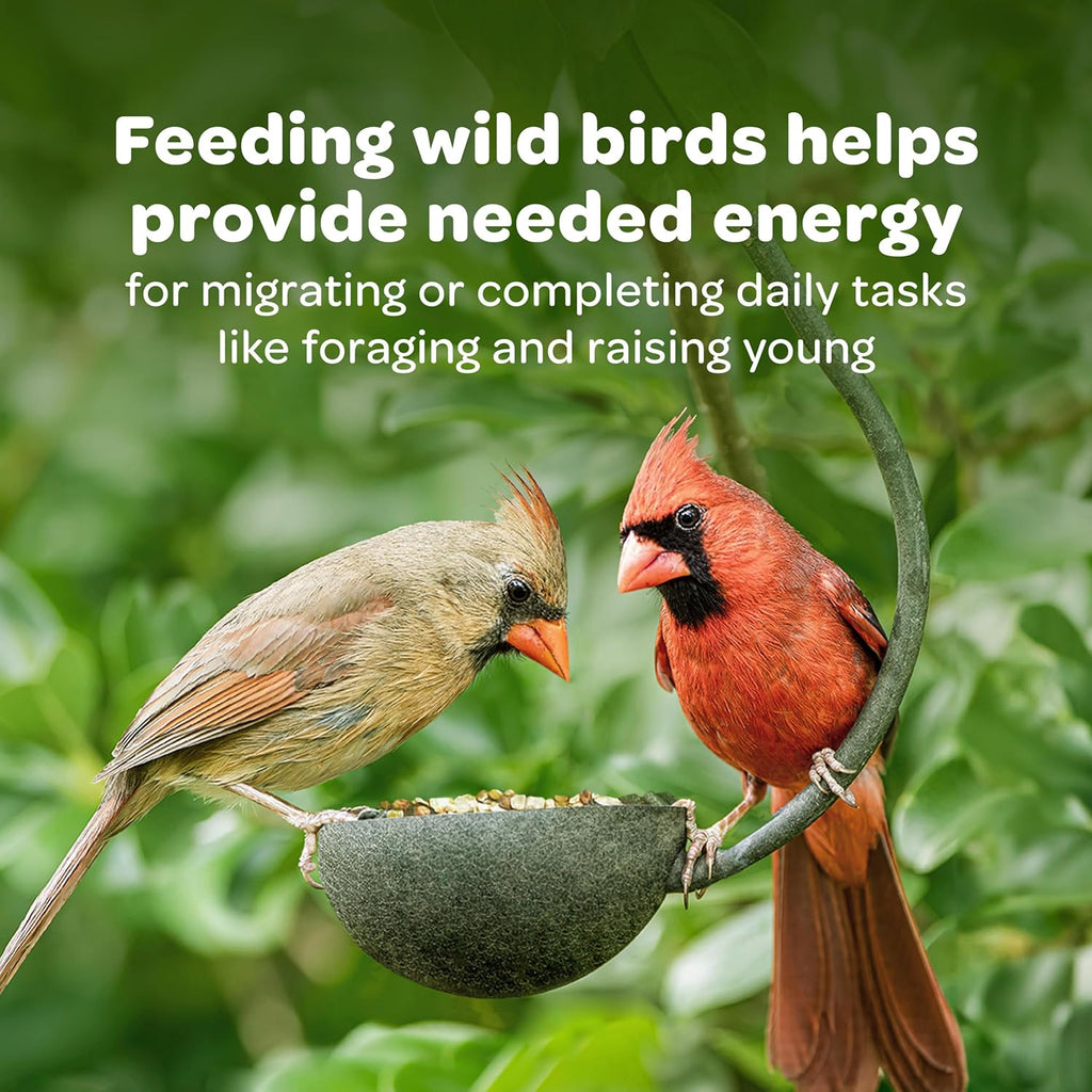 Goldfinches eating from a feeder filled with Kaytee blend