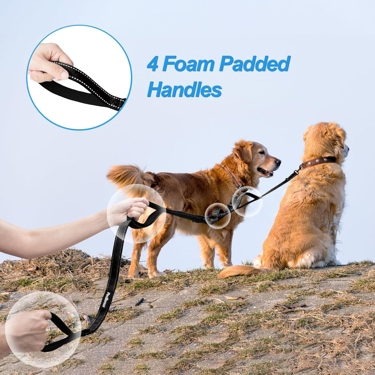 PetBonus dual dog lead package highlighting the included blue collapsible feeding bowl.