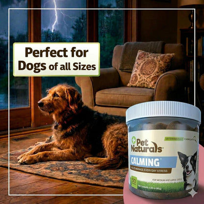 Pet Naturals behavioral support chews for large breed dogs showing clear dosage instructions