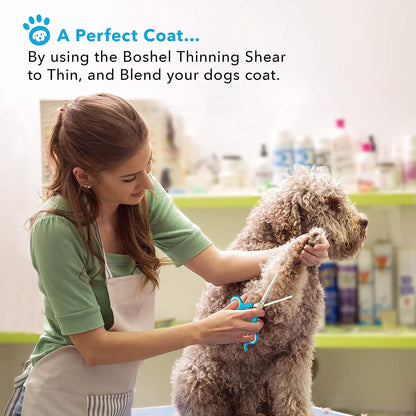 Close up of Boshel pet shears showing the rounded safety tips for accidental injury prevention.
