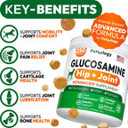Close up of Petsology glucosamine soft chews for dogs