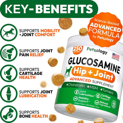 Close up of Petsology glucosamine soft chews for dogs