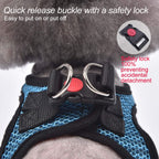 Small dog harness with reflective piping feature