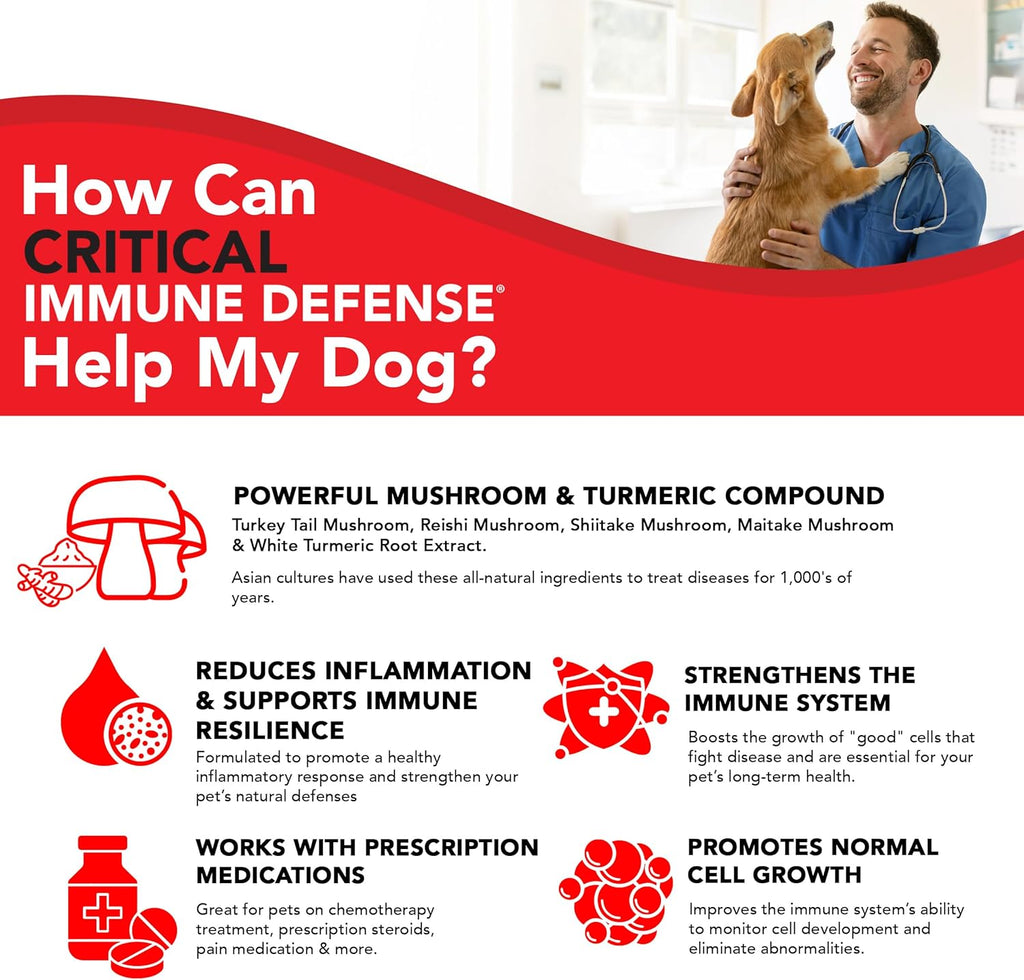 Natural killer cell and t helper cell support supplement for senior dogs and cats