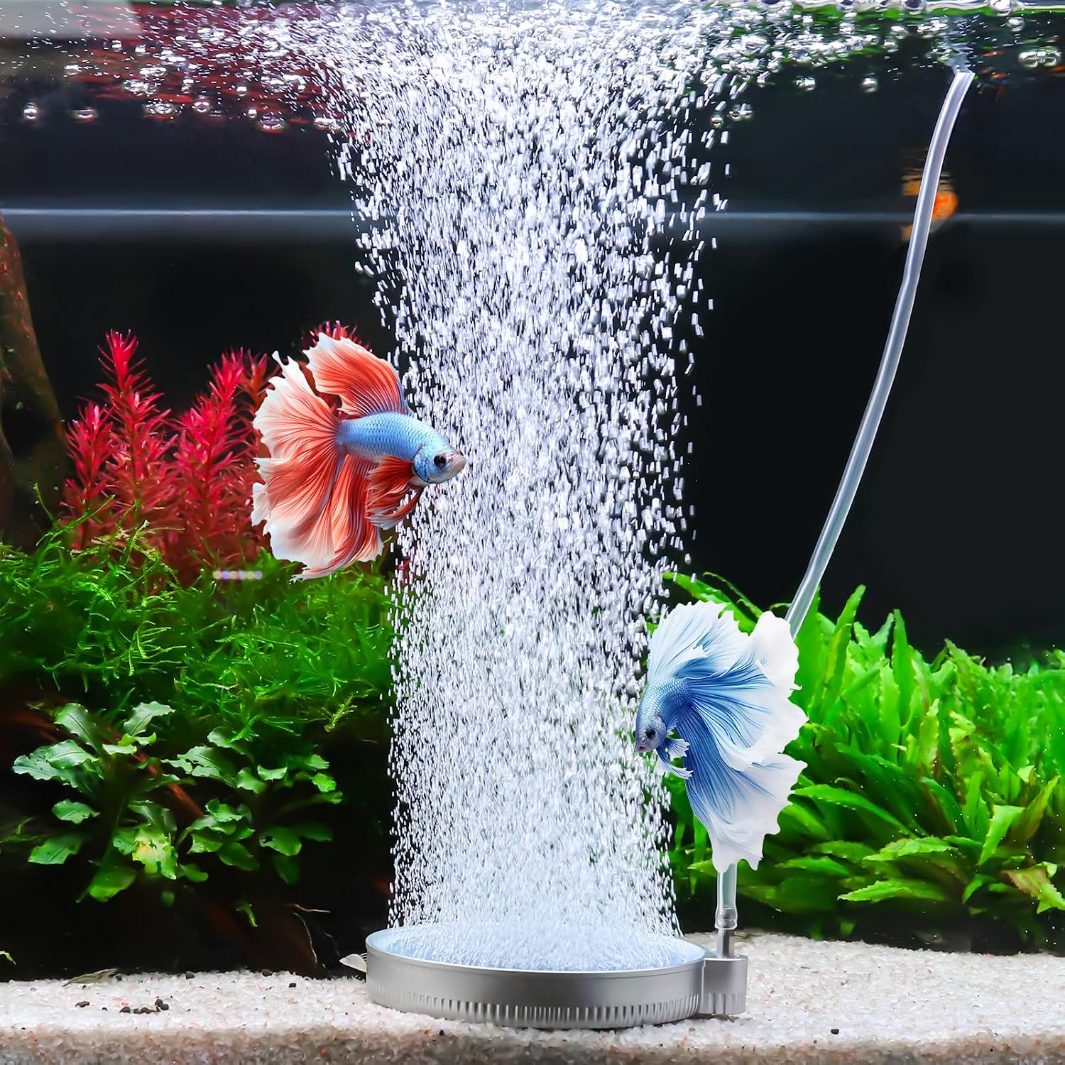 hygger Nano Air Stone for Aquariums, 2 Inch 2 Pack Quiet Fish Tank Bubbler High Dissolved Oxygen Diffuser Kit, Self-Sinking Aquarium Bubbler Aerator Air Pump Accessories for Fish Tank Hydroponics - Image 9