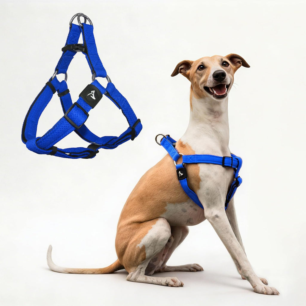 Kruz Pet dog harness packaging and product label