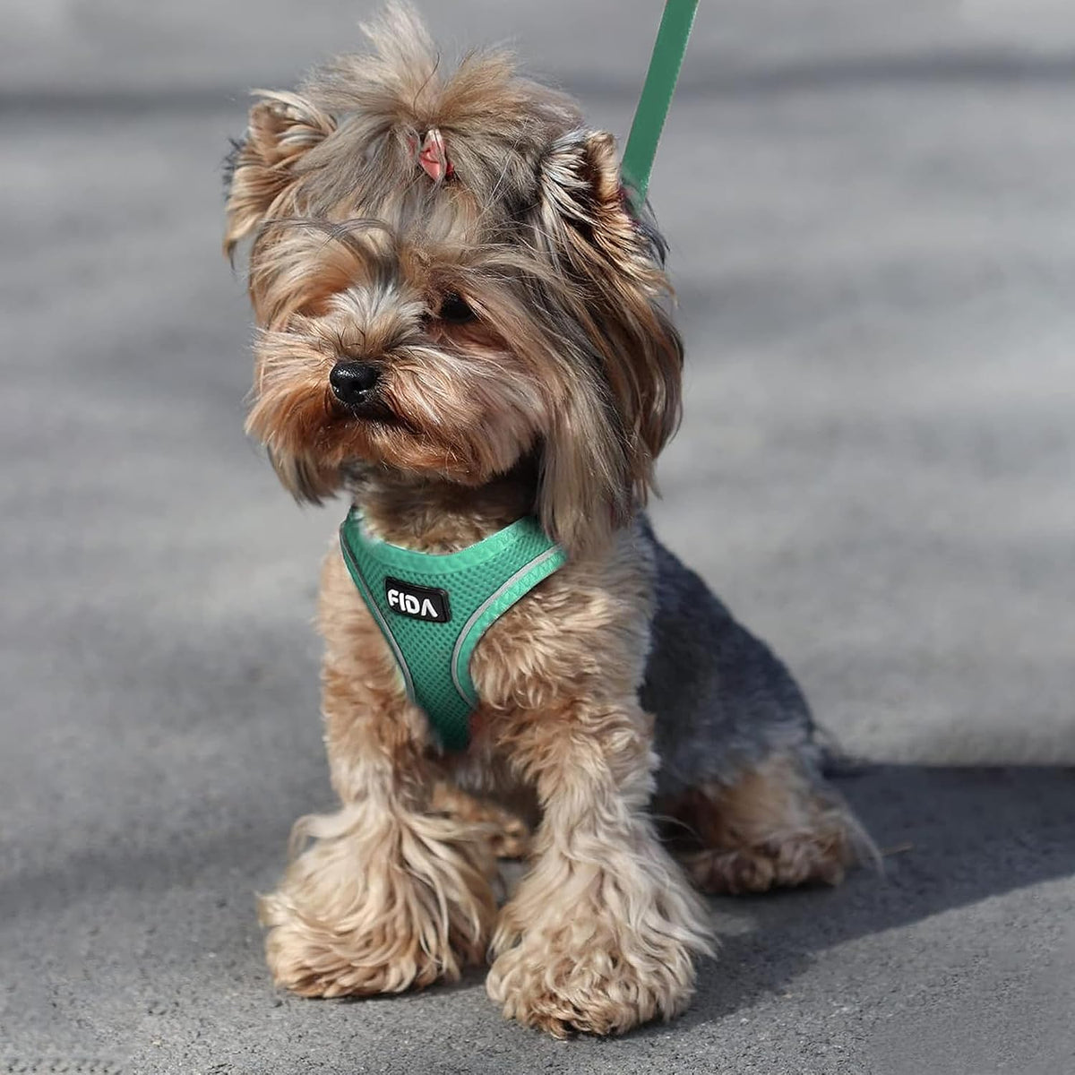 Fida green air mesh cat harness with four foot walking leash