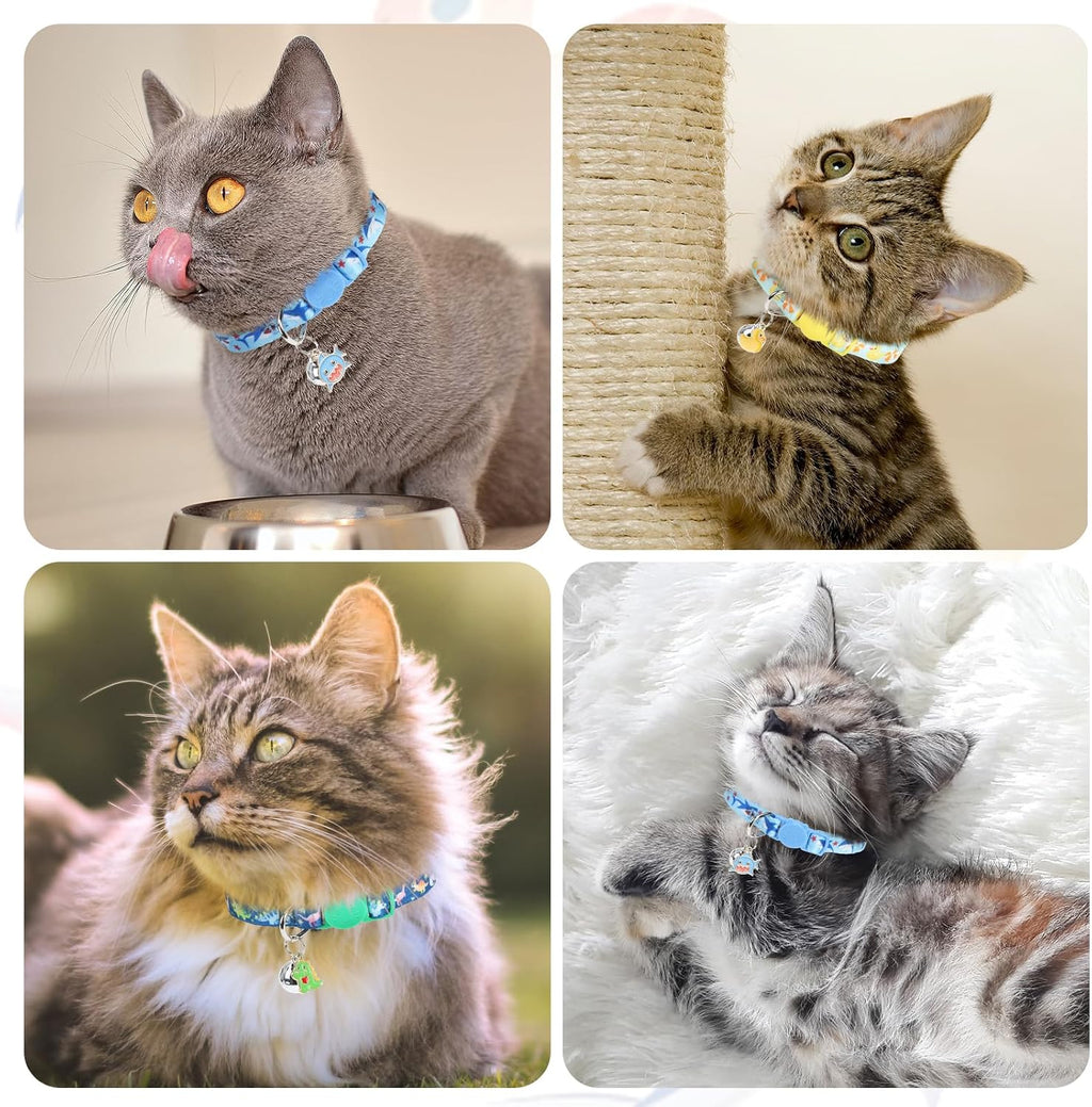 DILLYBUD adjustable safety collar demonstrating the quick release mechanism