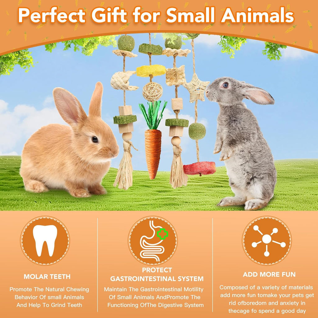 Guinea pig and rabbit teeth grinding toy hanging attachment