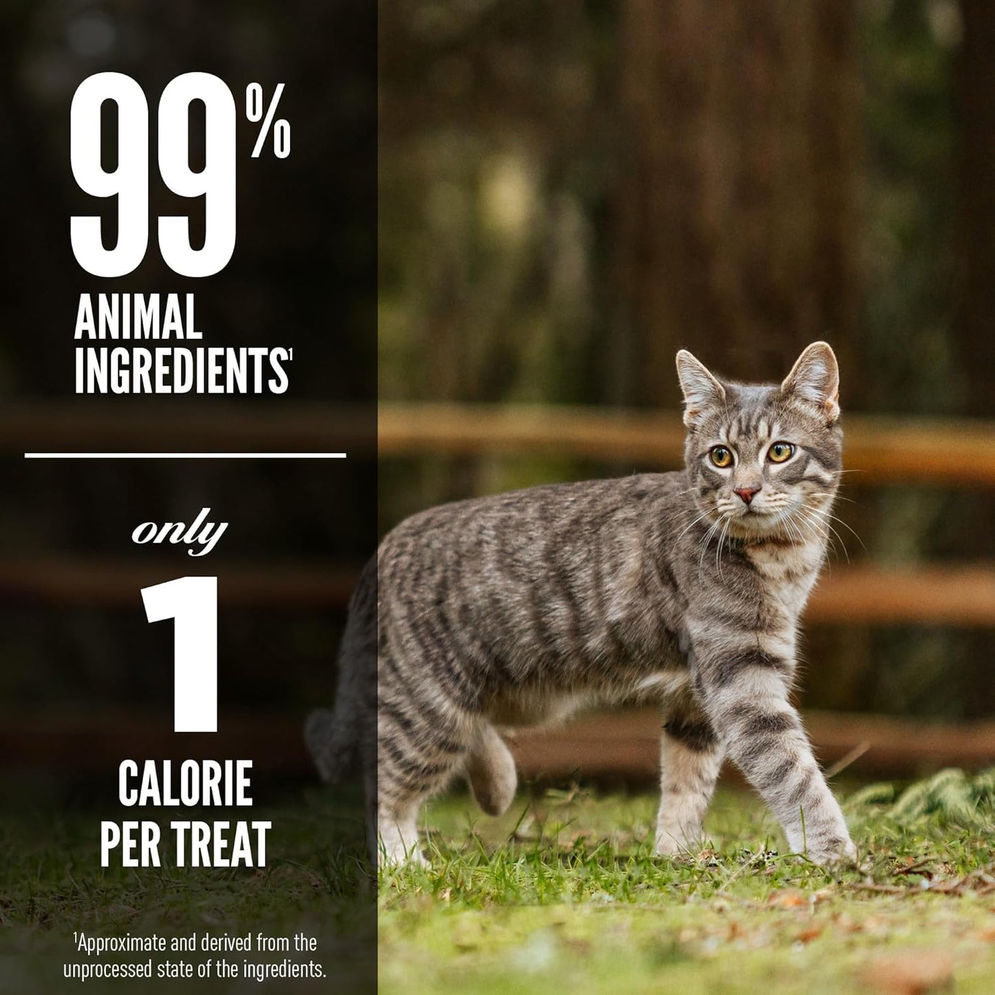 Orijen 1.25 Ounce premium cat treats packaging showcasing WholePrey nutrition benefits.