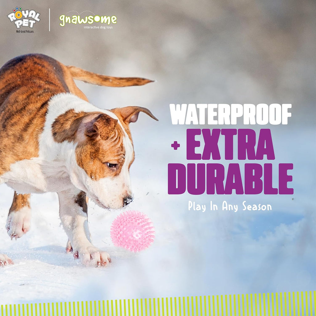 Durable thermoplastic rubber dog ball for fetch