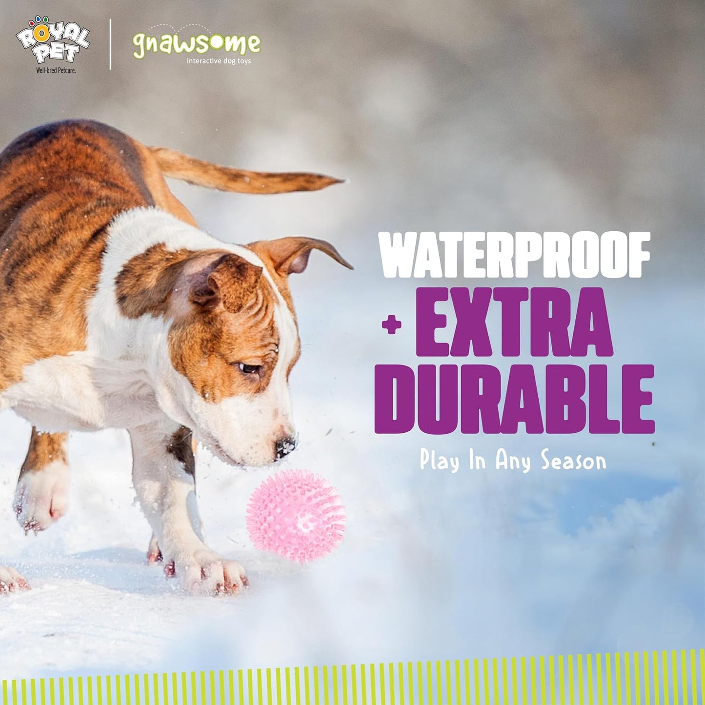 Durable thermoplastic rubber dog ball for fetch