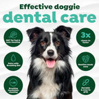 TropiClean oral care brush head illustration demonstrating full coverage tooth cleaning functionality