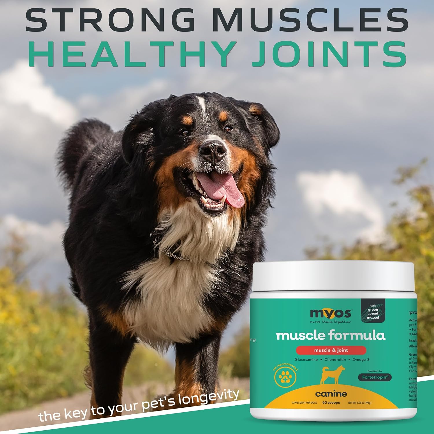 USA imported canine joint stiffness relief supplement for senior dogs.