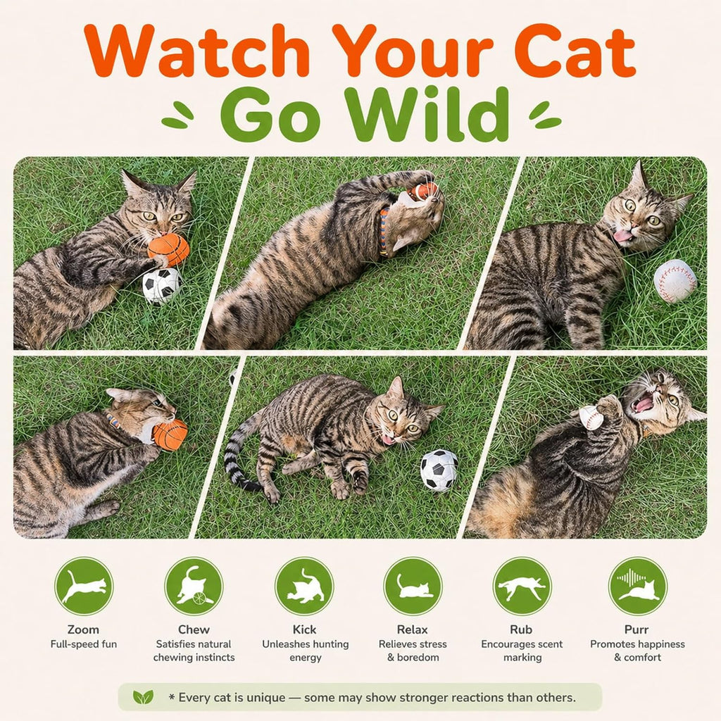 Agape 100% Natural Catnip & Silvervine Filled Cat Toy Balls with Bell Sound | 2 Pack Chew & Kicker Balls for Indoor Cats and Kittens, Helps Relieve Boredom, Encourages Exercise and Teeth Cleaning - Image 3