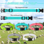 Patelai goat collars colorful nylon straps assortment