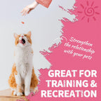 Just Try 13.4 OZ Urinary Tract Health Cat Treats for Indoor Cats, Cranberry & D-Mannose for Kidney Bladder and UT Support, Health Cat Supplement Crunchy Chews - Image 9
